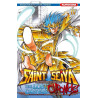 Saint Seiya The Lost Canvas – Chronicles T04 (VF)