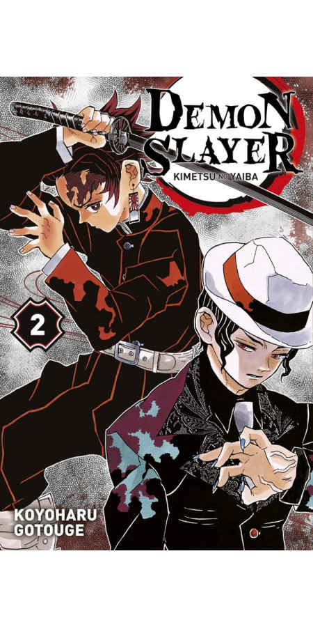 Demon Slayer Tome 2 (VF)