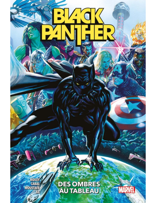 Black Panther T01 : Des ombres au tableau (VF)