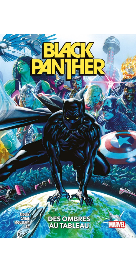 Black Panther T01 : Des ombres au tableau (VF)