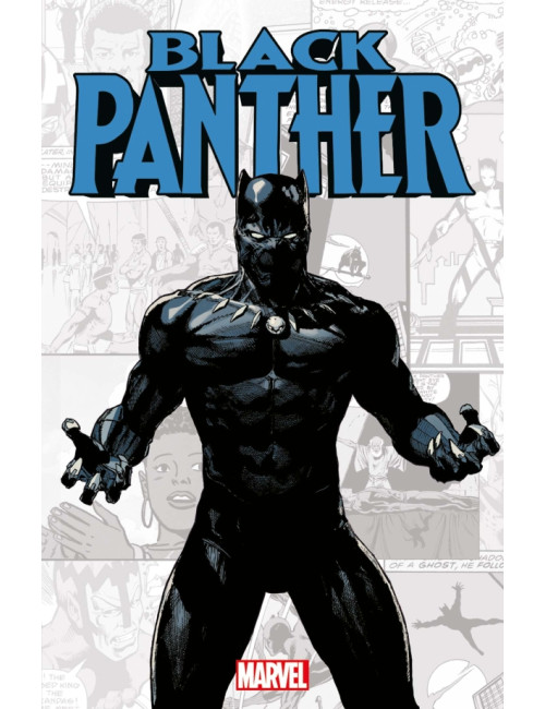 Marvel-Verse : Black Panther (VF)