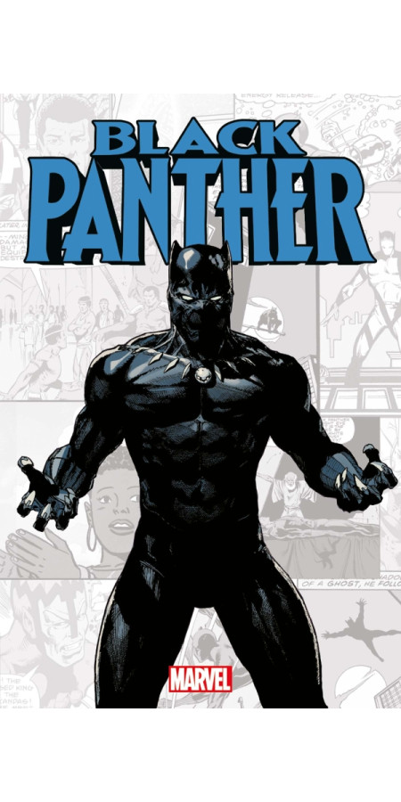 Marvel-Verse : Black Panther (VF)