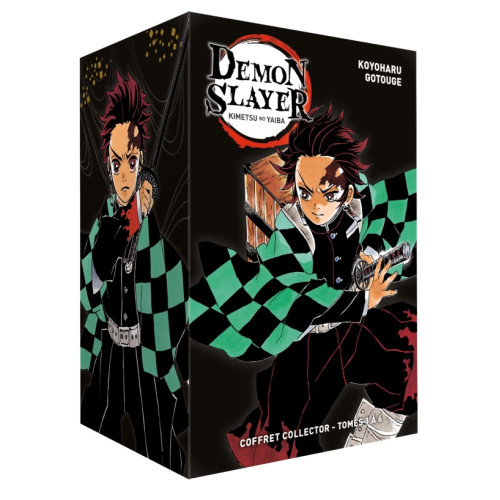 Coffret Demon Slayer T01 à T06 (VF)