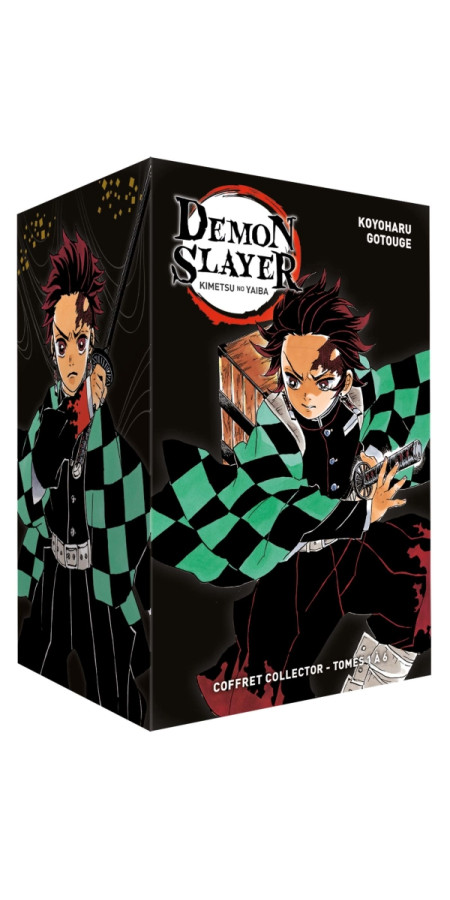 Coffret Demon Slayer T01 à T06 (VF)