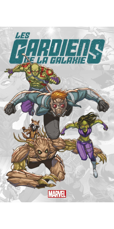 Marvel-Verse : Gardiens de la Galaxie (VF)