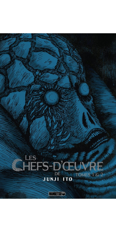 Coffret Les Chefs-d'oeuvre de Junji Ito (VF)