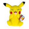 Pikachu peluche