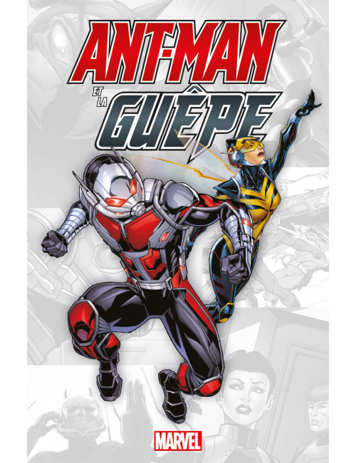 Marvel-Verse : Ant Man (VF)