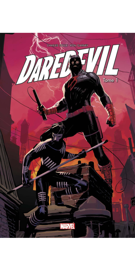 Daredevil Tome 1 (VF)