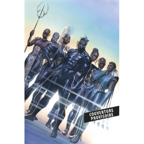 Black Panther T01 : Des ombres au tableau (VF)