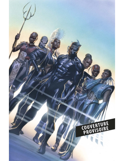 Black Panther T01 : Des ombres au tableau (VF)