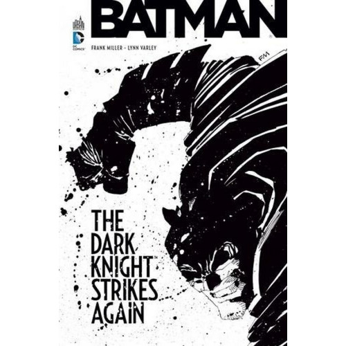 Batman : The Dark Knight Strikes Again (VF)