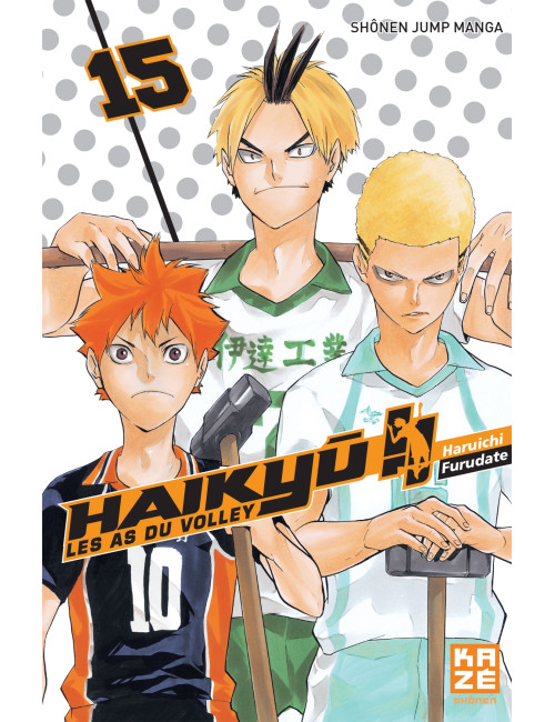 Couverture de Haikyu !! - Les As du volley T15