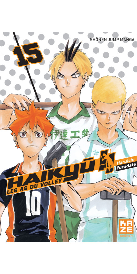 Couverture de Haikyu !! - Les As du volley T15