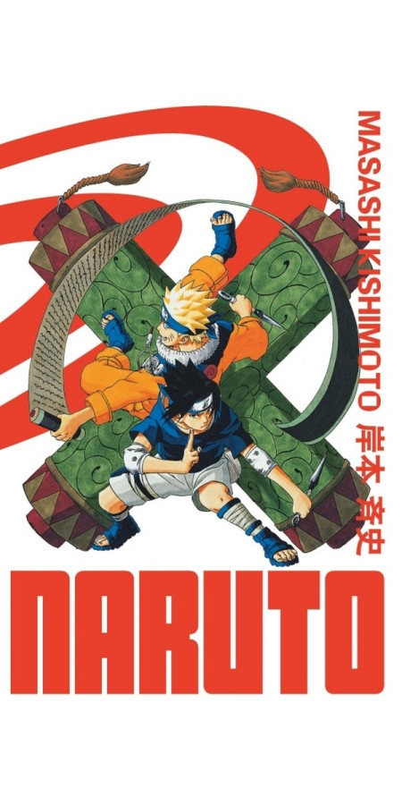 Naruto Edition Hokage (DELUXE) Tome 8 (VF)