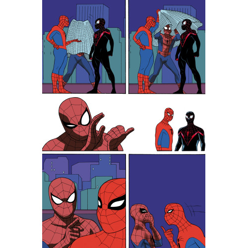 Nous sommes les Spider-Men (VF)