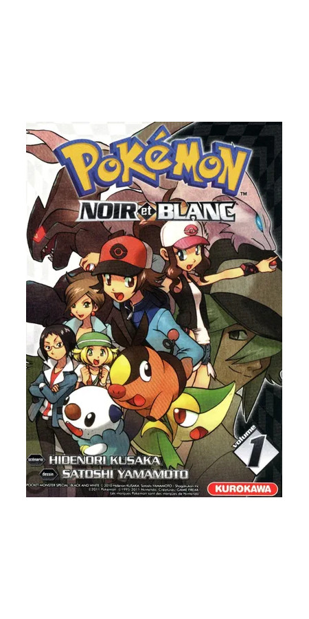 Pokémon Noir et Blanc T1 (VF)