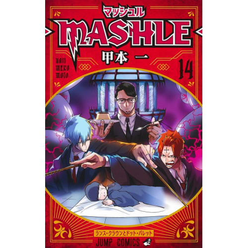 Mashle Tome 13 (VF)