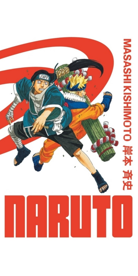 Naruto Edition Hokage (DELUXE) Tome 11 (VF)