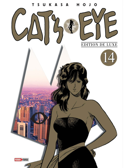 Couverture de Cat's Eye T14 (NED)