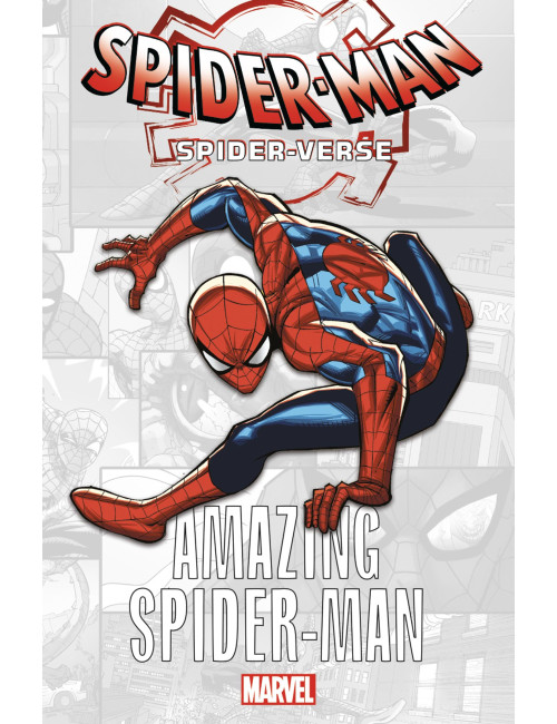 Marvel-Verse : Amazing Spider-Man (VF)