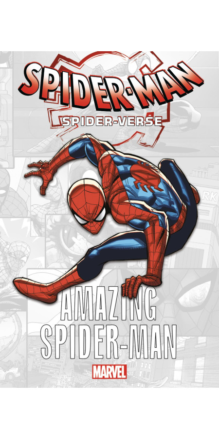 Marvel-Verse : Amazing Spider-Man (VF)