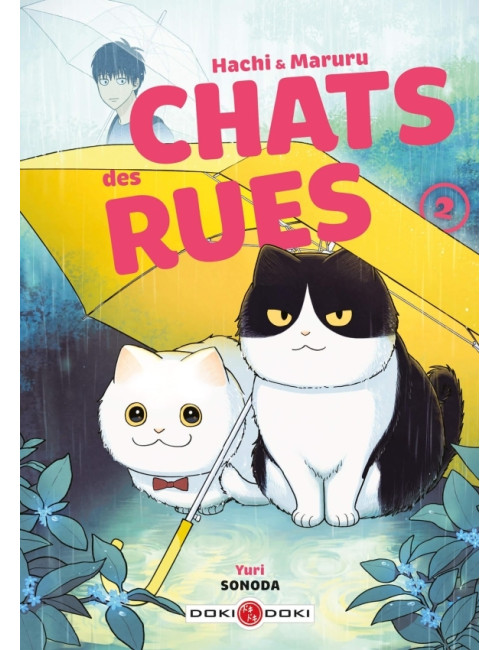 Hachi & Maruru - Chats des rues - vol. 02 (VF)