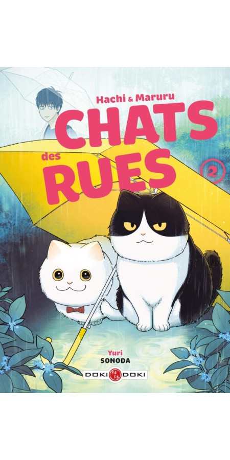 Hachi & Maruru - Chats des rues - vol. 02 (VF)