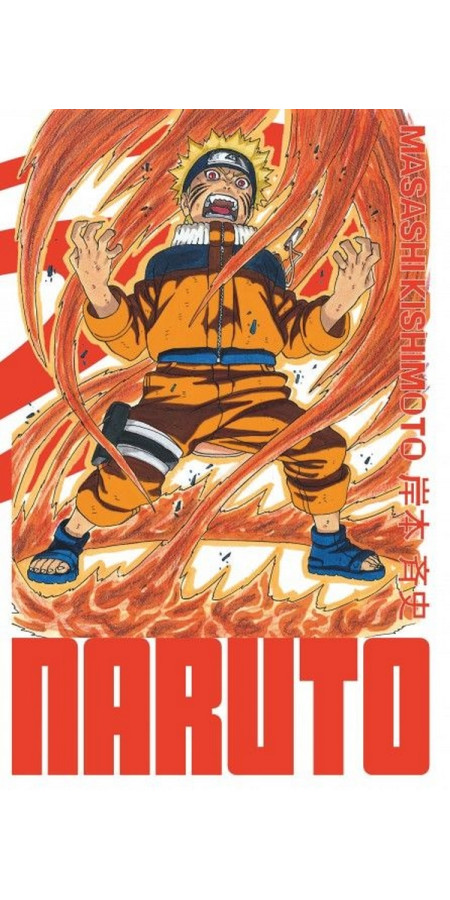 Naruto Edition Hokage (DELUXE) Tome 13 (VF)