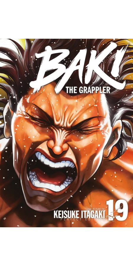 Baki the Grappler - Perfect Edition - Tome 19 (VF)