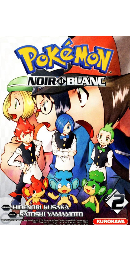 Pokémon Noir et Blanc T2 (VF)