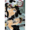 Demon Slayer - Edition Pilier T04 (VF)