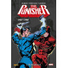 Punisher : L'intégrale 1982-1987 (VF)