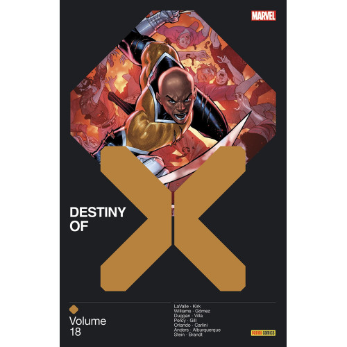 Destiny of X Tome 17 (VF)