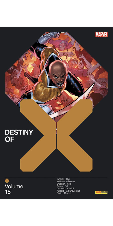 Destiny of X Tome 17 (VF)