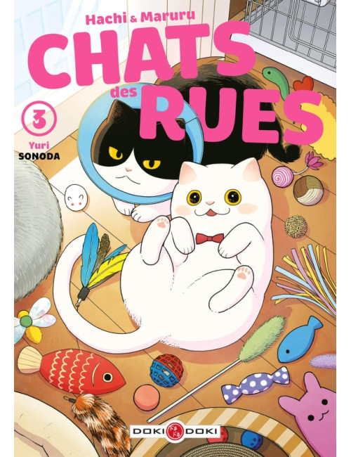 Hachi & Maruru - Chats des rues - vol. 03 (VF)