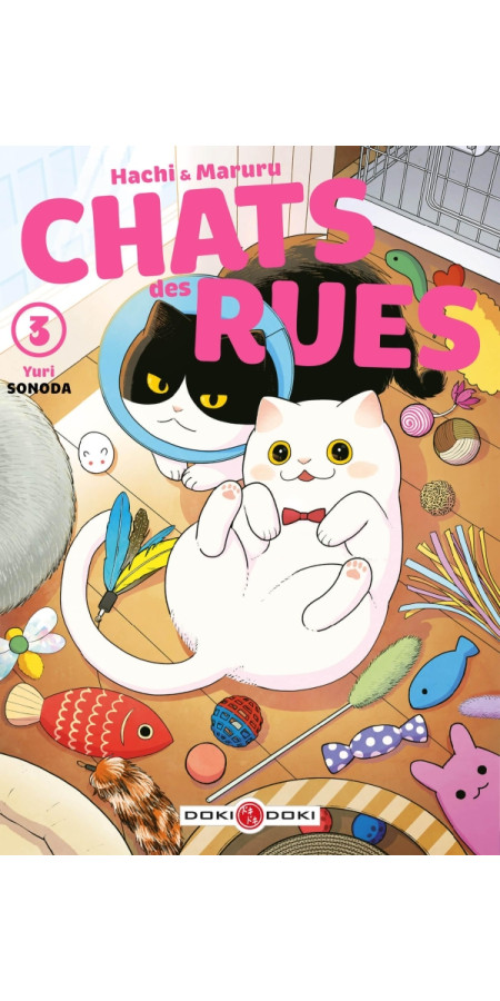 Hachi & Maruru - Chats des rues - vol. 03 (VF)