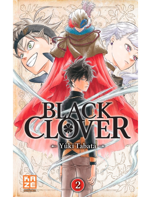 Black Clover Tome 13 (VF)