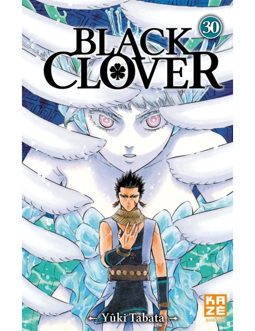 Black Clover Tome 30 (VF)