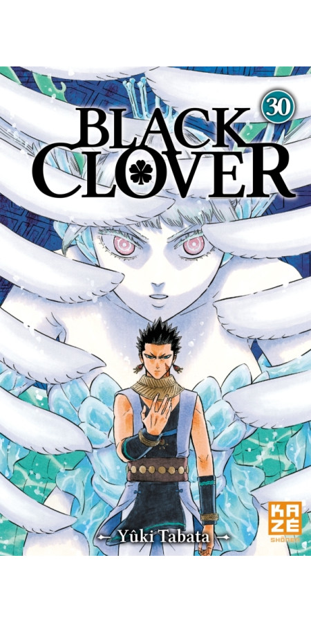 Black Clover Tome 30 (VF)