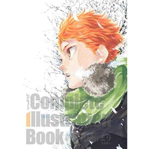 HAIKYU COMPLETE ILLUSTRATIONS ARTBOOK (VF)