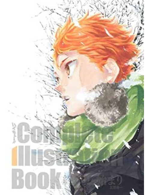 HAIKYU COMPLETE ILLUSTRATIONS ARTBOOK (VF)