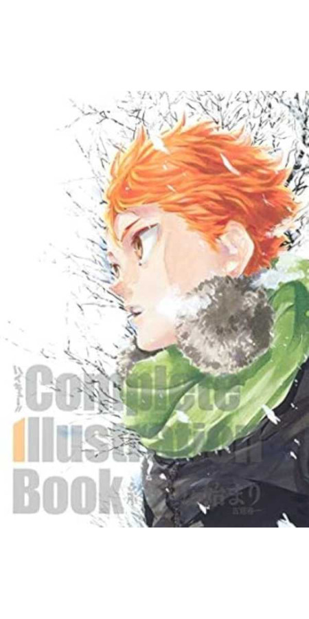 HAIKYU COMPLETE ILLUSTRATIONS ARTBOOK (VF)