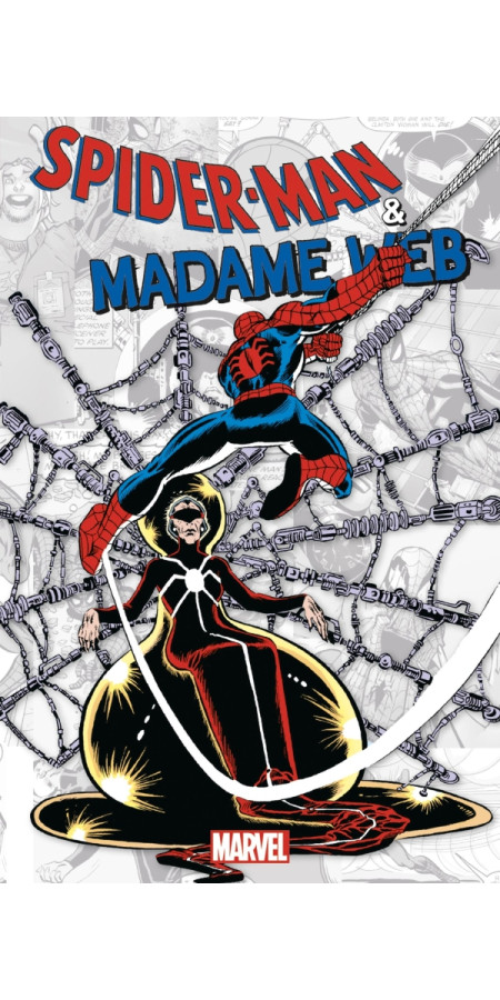 Marvel-verse : Spider-Man & Madame Web (VF)