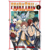 FAIRY TAIL - 100 YEARS QUEST PACK OFFRE DECOUVERTE T01 ET T02 (VF)