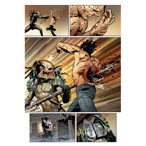 Predator Vs Wolverine (VF)