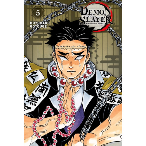 Demon Slayer - Edition Pilier T05 (VF)