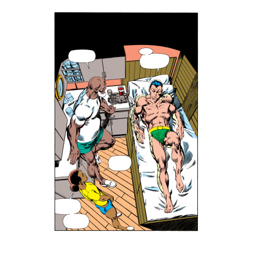 Namor Omnibus (VF)