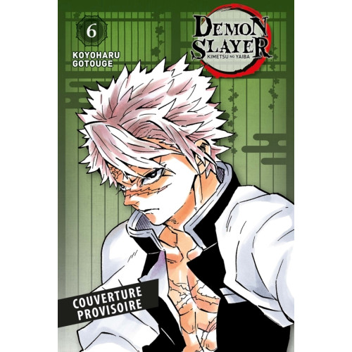 Demon Slayer - Edition Pilier T06 (VF)