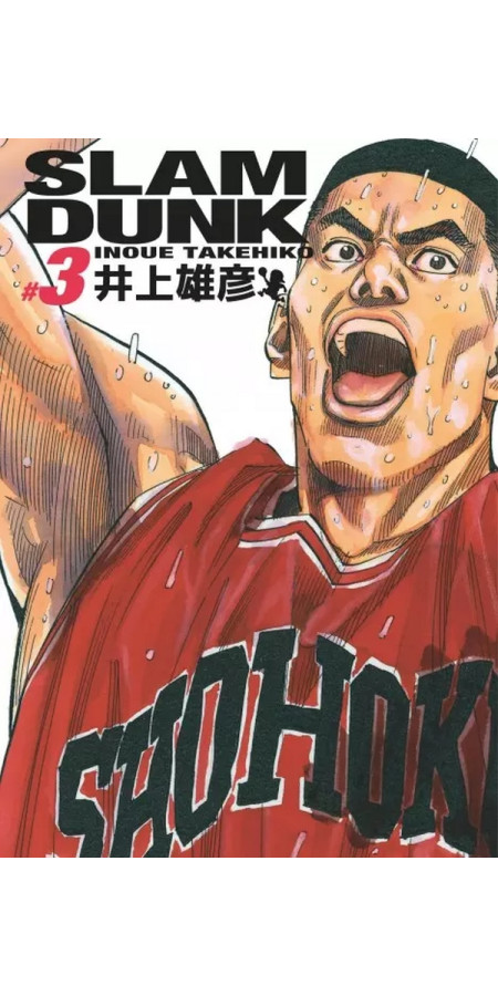 SLAM DUNK DELUXE - TOME 3 (VF)